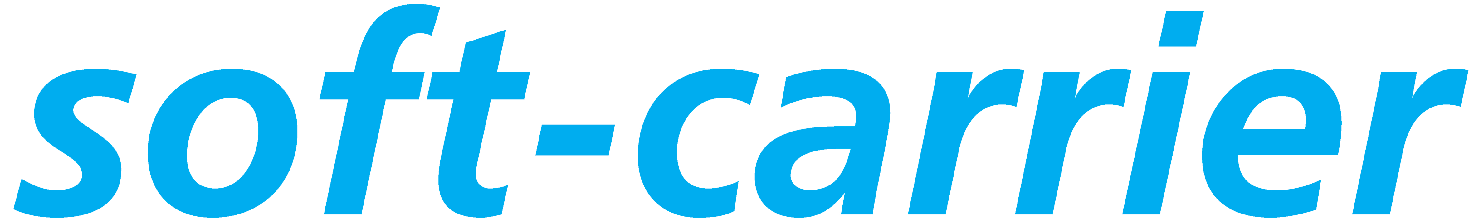 soft-carrier GmbH