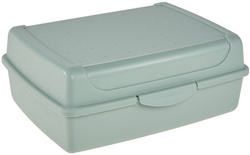 okt broodtrommel click-box midi blauw transparant