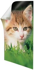 3m command klebestroken poster strips formaat s wit