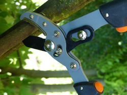 tuin primus damen-astschaar-lengte 470 mm