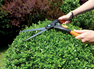 tuin primus boeksbaumschaar-groot-lengte 435 mm